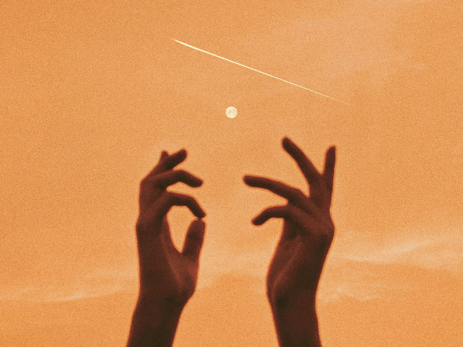 New Moon, New You: Here’s What the First Major Celestial Event of 2026 Means for Each Sign